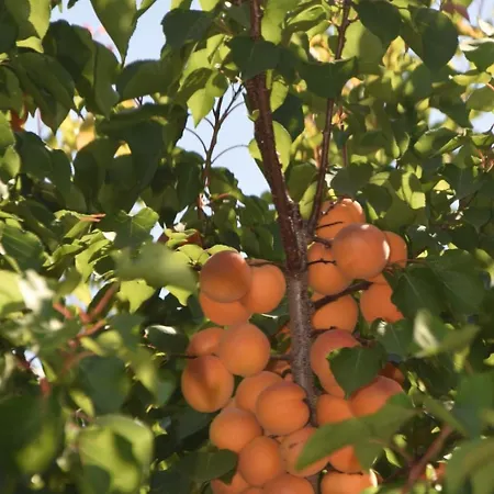 La Tenuta Del Conte Fermo