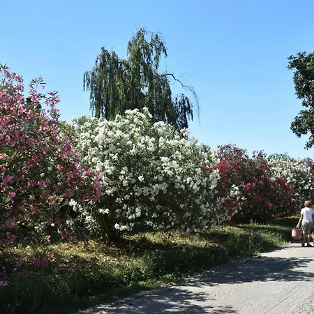 La Tenuta Del Conte Fermo
