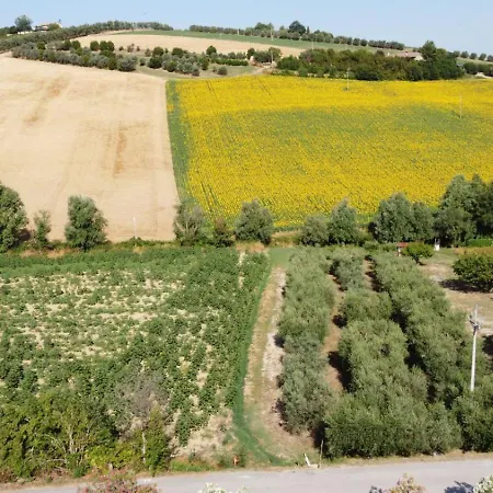 La Tenuta Del Conte Séjour à la ferme Fermo