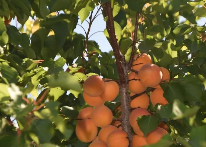 La Tenuta Del Conte Fermo