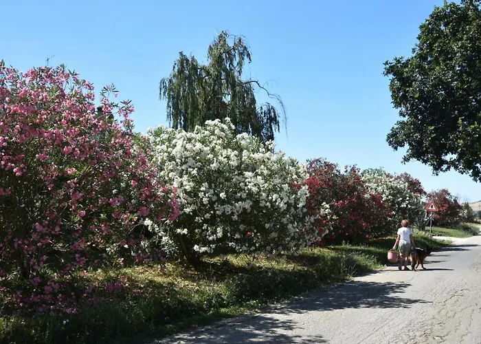 La Tenuta Del Conte Fermo