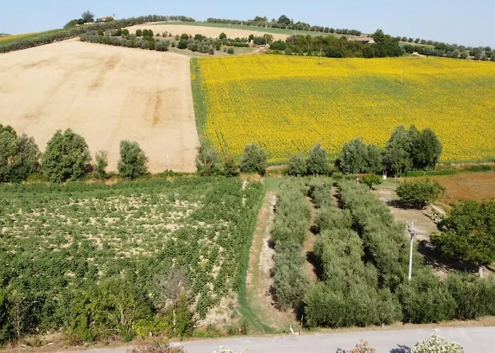 La Tenuta Del Conte Farm stay Fermo